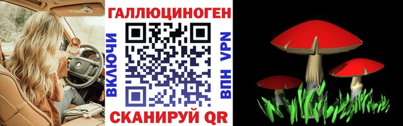 Галлюциногенные грибы MAGIC MUSHROOMS  Мосальск 