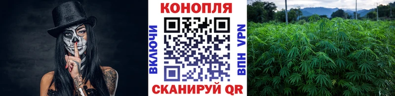 Каннабис Ganja  Мосальск 